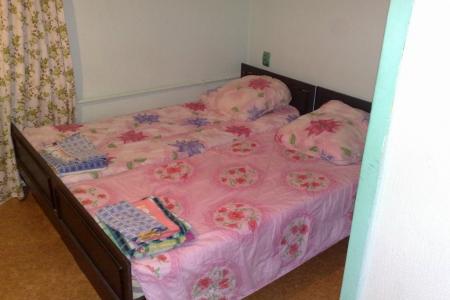 1-комнатная квартира посуточно