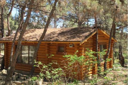 Дом в Новом Свете