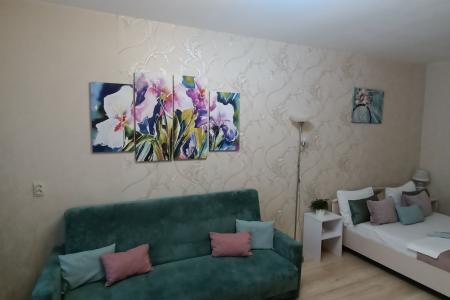 однокомнатная квартира в Гомзово