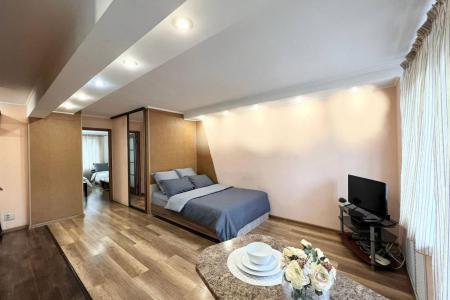 Двухкомнатная квартира, концертный зал, люкс