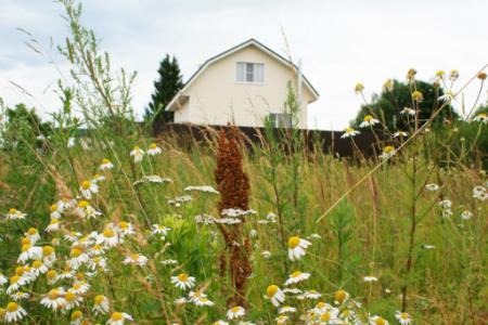 Приглашаем вас первыми посетить "Домик в Кушалино"!