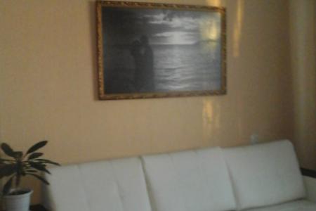 Уютная однокомнатная квартира