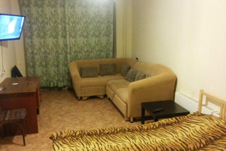 Хорошая недорогая квартира с кроватью, диваном, интернетом и ЖК телевизором в центре города