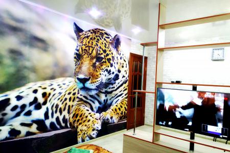 Семь Я апартамент 2 комнаты