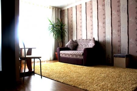 Картира посуточно в центре! Все удобства, отличный ремонт! Скидки.