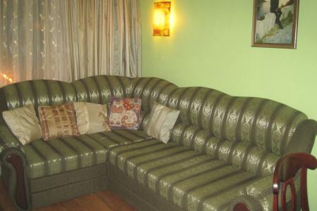 1-комн. с евроремонтом в центре посуточно