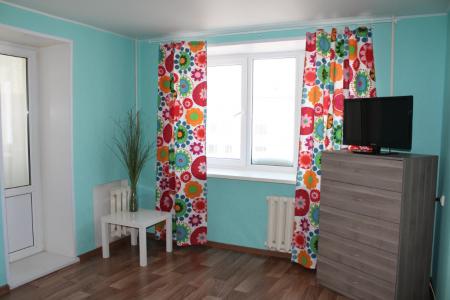 Однокомнатная квартира в центре + Wi-fi