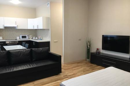 Студия с видом на Москва-реку