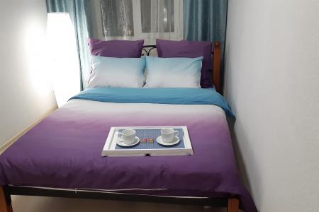 Квартира в центре города рядом м. Горьковская