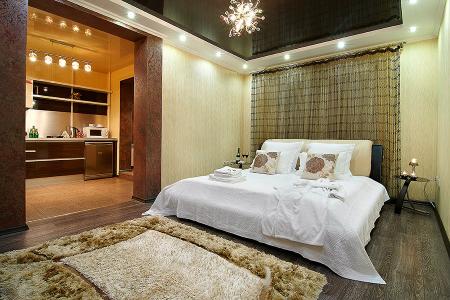 Однокомнатные апартаменты VIP-класса