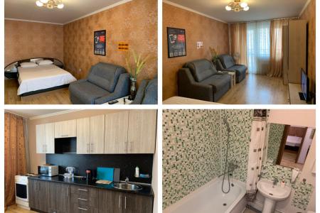 Однокомнатная в деловом центре города