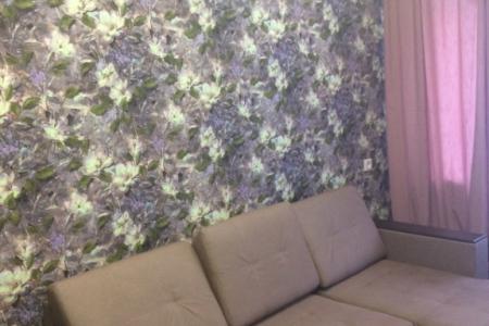 Однокомнатная квартира в Центральном районе