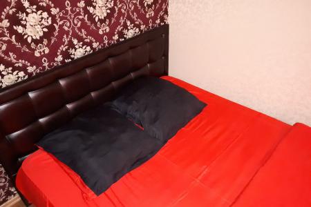 1-комнатная квартира у Дворца Спорта