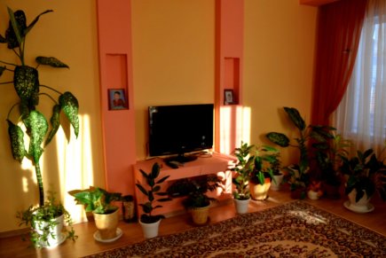 Дом №26    Школьная