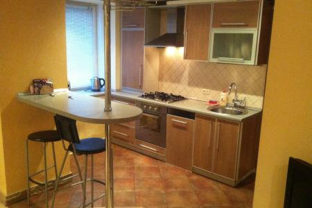 2-х комнатные апартаменты-студия с дизайнерских ремонтом у ТЦ Тополь