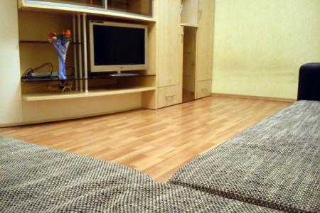 2-комнатная квартира в историческом центре