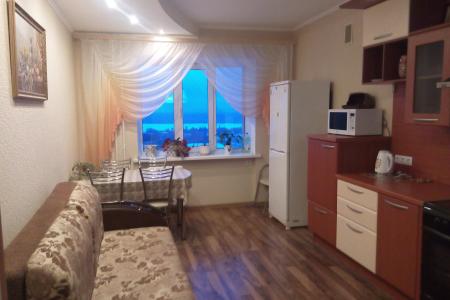 Однокомнатная квартира с видом на Волгу