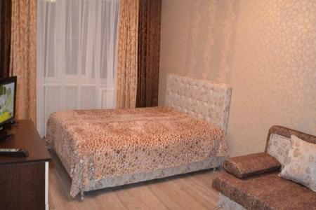 1-ком квартира в Центральном округе