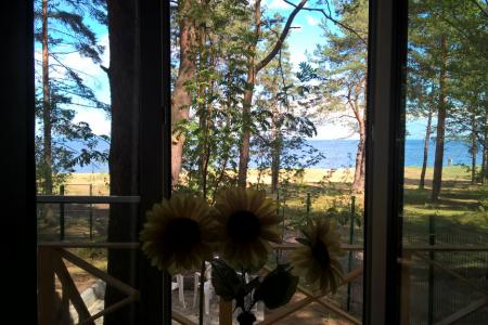 ДО ПЛЯЖА НА ЗАЛИВЕ 50-МЕТРОВ