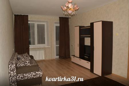 Однокомнатная квартира у Харьковской горы