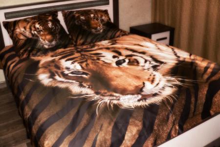 Сдам 1-комнатную квартиру в районе Запрудный,  ул. Ладожская