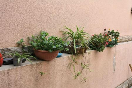 geo house - уютный дом в центре тбилиси