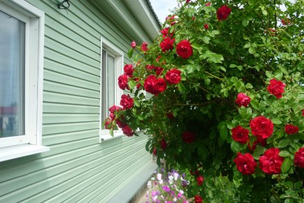 Дом с русской баней