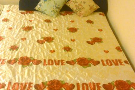 3 часа всего за 500 р заселяем даже ночью