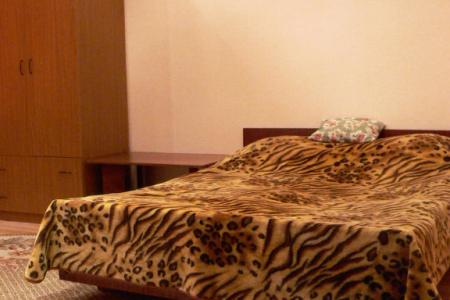 Квартира посуточно в Центре