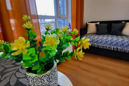 Студия рядом с метро Золотая Нива