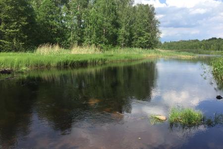 Коттеджи на берегу реки Вуокса