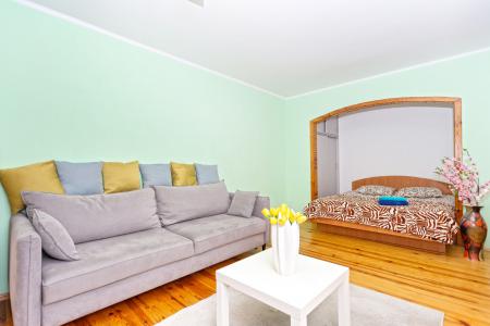 Уютная однокомнатная квартира в центре