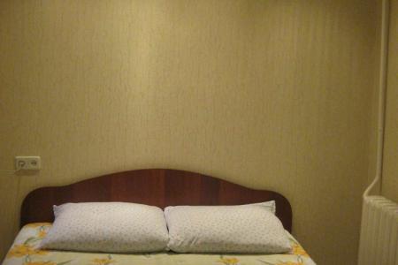 Двухкомнатная квартира в центре города