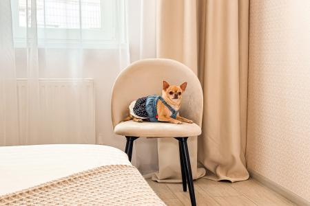 Хвостик на отдыхе