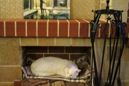 Сдам на  Новый год коттедж "Домик у леса"