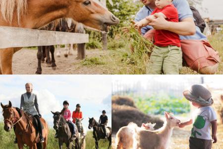 Сдаётся коттедж 170 м2 на участке 12 соток