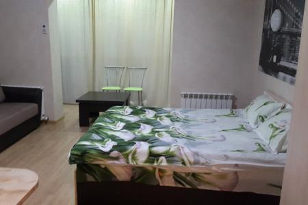 Студия в центре Сочи с видом на море.