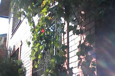 Дом 270 м2 посуточно