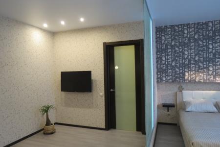 Большая  стильная квартира в центре (Транспортная Академия)