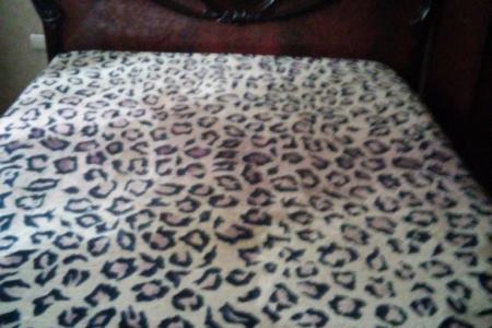 Двухкомнатная квартира в центре Ленинского района