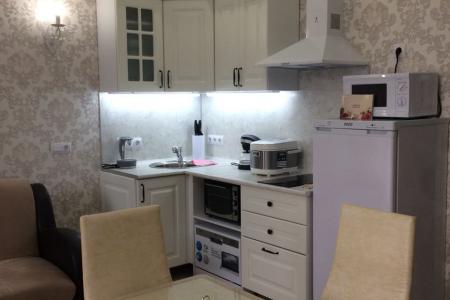 Студия с выходом на террасу