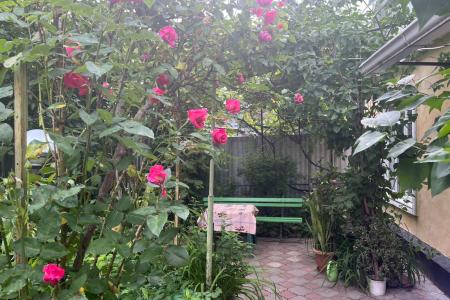 У пл. Фонтанов Ессентуки сдаю посуточно квартиру с ПАРКОМЕСТОМ в закрытом дворе от хозяина