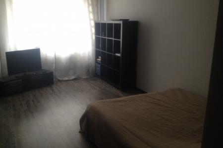 Однокомнатная квартира возле станции Гагаринская