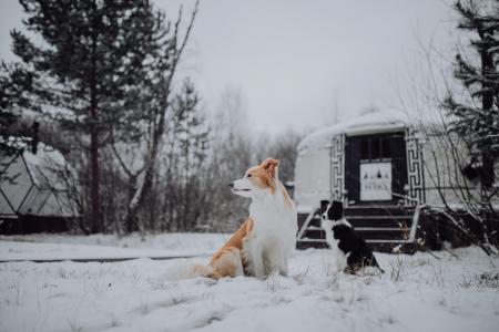 ЮРТА: ПЛОЩАДКА "ОЗЕРО ПЛЕЩЕЕВО"