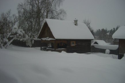 Сдам просторный дом в Сосново