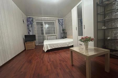 однакомнатная квартира возле нарзанного источника