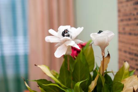 Двухкомнатные апартаменты возле вокзала