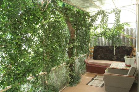 Отдельно стоящий дом со всеми удобствами