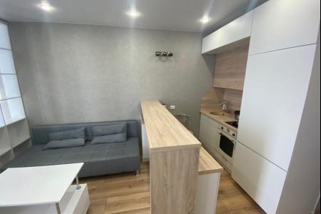 Студия класса Люкс в центре города