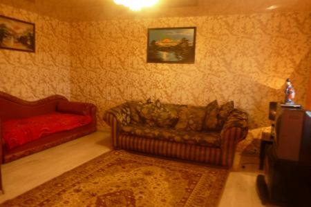 Просторная однокомнатная квартира